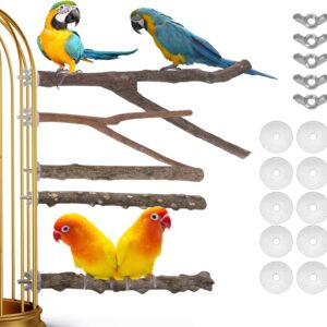 Geboor 5Pcs Wood Bird Perch Parrot Perches for Cage Stand Set Parrot Stand Branches Fork Perch Rod Stand for Small Parakeets Budgies Cockatiels Conure Lovebirds