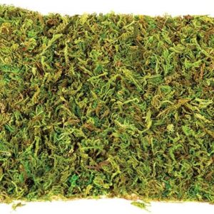 Komodo Large Natural Moss Mat for Reptiles - 2 Count - L