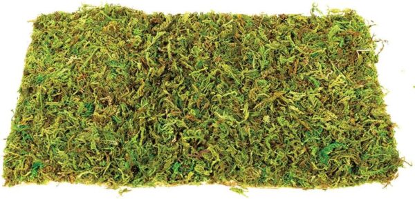 Komodo Large Natural Moss Mat for Reptiles - 2 Count - L