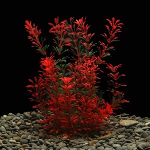 Large Aquarium Plants Artificial Plastic Fish Tank Plants Decoration Ornament Safe for All Fish 30cm x 10cm - Red