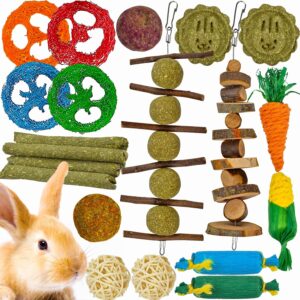 Ousiya 21-Pack Rabbit Toys Set, Natural Rabbit Chew Toys Boredom Breakers for Bunny, Hamster, Guinea Pig and Chinchilla, Apple Wood Timothy Hay Sticks Treating for Rabbit and Small Animals Teething