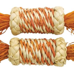 Rosewood Boredom Breaker Corn Rattle Rollers, Small Animal Activity Toy, Pack of 2