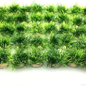 BEGONDIS 40 Pcs Artificial Small Water Plants, Fish Tank Aquarium Grass Decorations, Made of Soft Plastic, Good for All Fish & Pets