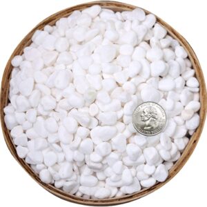 Hisredsun 3.96 lb White Decorative Stones,0.23-0.35in Natural Gravel Rocks for Plant Pots,Small River Rocks for Landscaping, Vase Fillers,Succulents,Aquarium and Garden Decoration