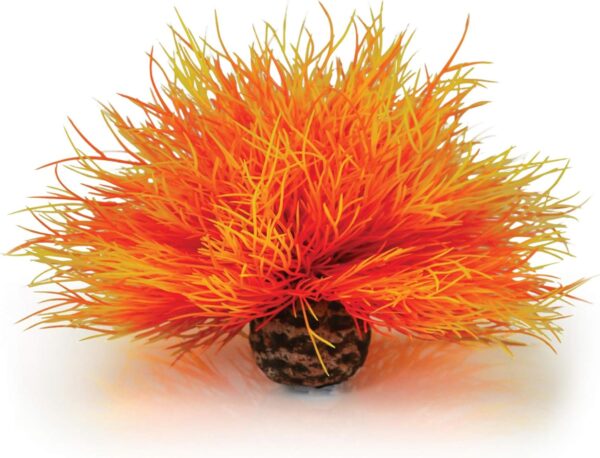 biOrb Aquarium Sea Lily fire