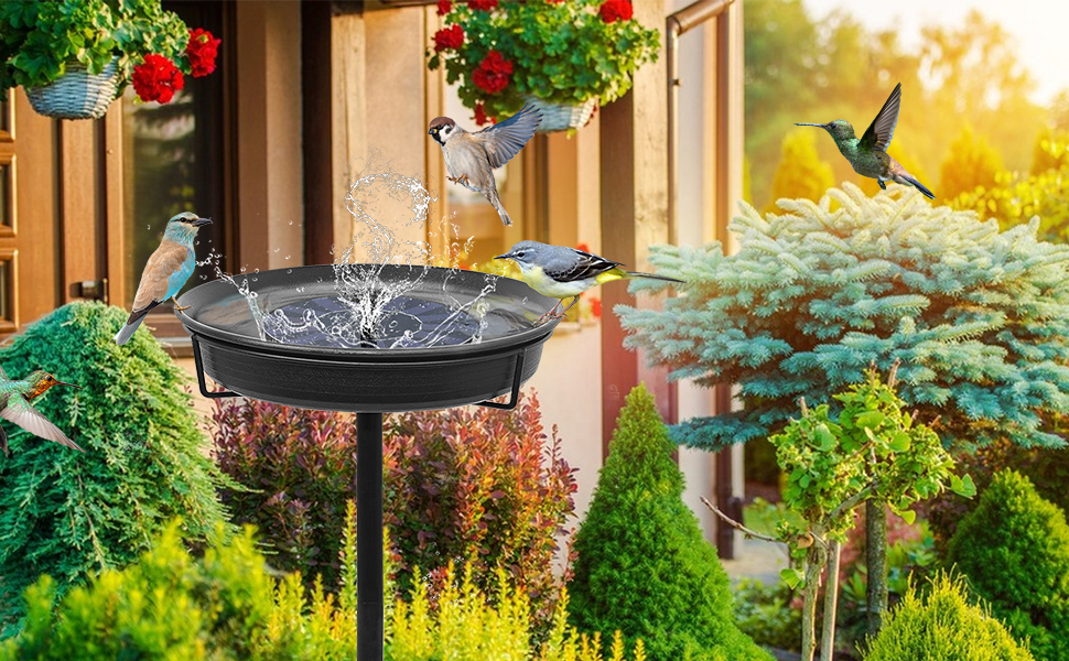 Decoration Spa Birdfeeder 