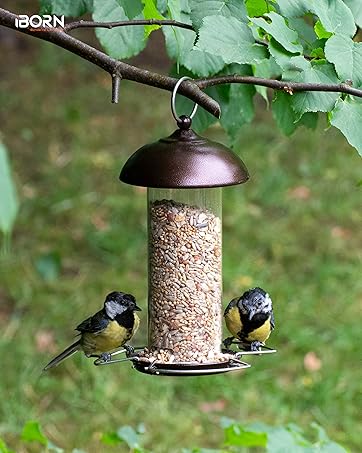 bird feeder