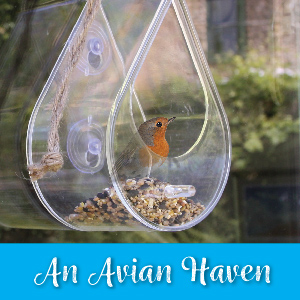 An Avian Haven - Suitable for all bird food and bird seeds. Easy to clean and care for year round.