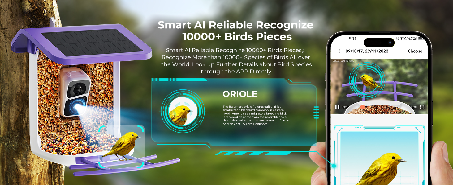 AI Recognition Birds