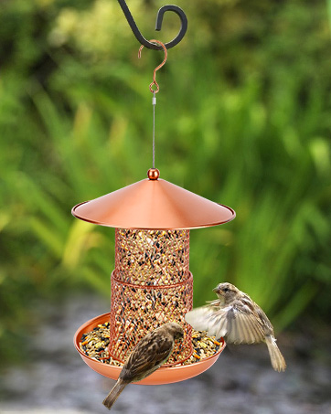 bird feeders hanging