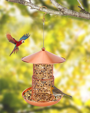 bird feeders hanging