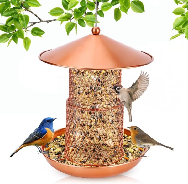 Bird Feeders, Hanging Metal Bird Seed Feeder Heavy Duty Mesh Squirrel Proof Wild Bird Feeder Staton Anti-rust Coating Nut Feeder with Rain Dome for Mix Seed Blends Sunflower