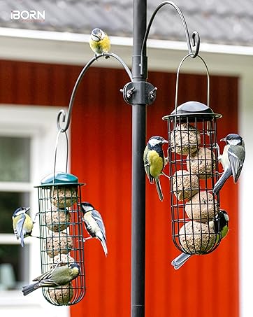 bird feeder