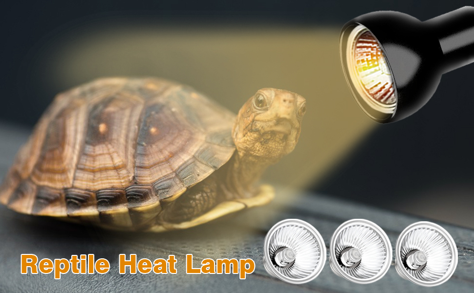 tortoise heat lamp