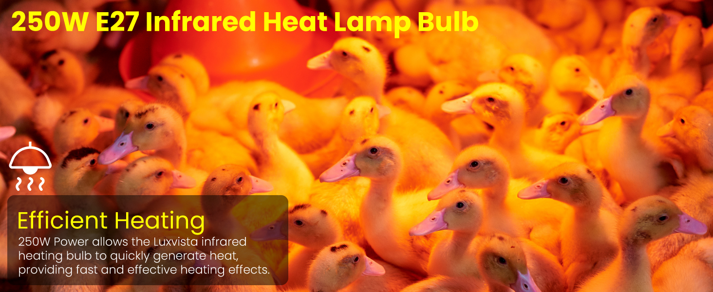 E27 Infrared Heat Bulb 250W Dimmable Reptile Heat Lamp Bulb