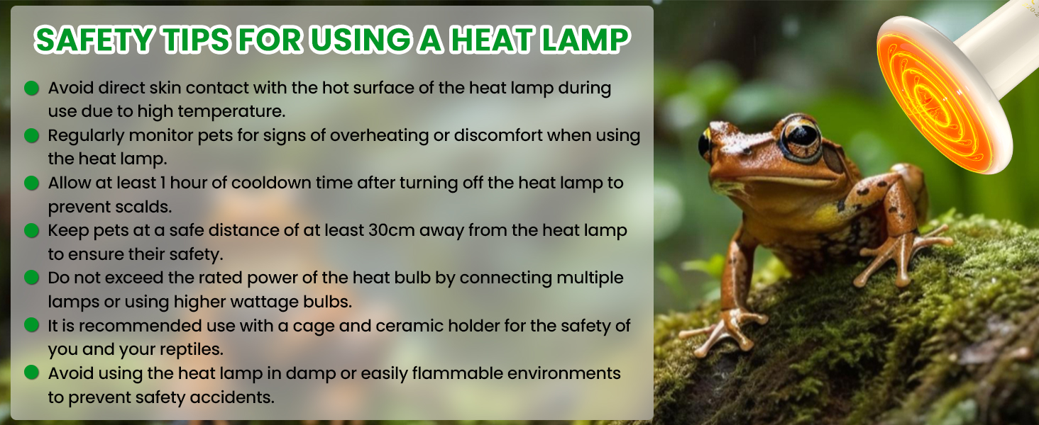 reptile heat bulb