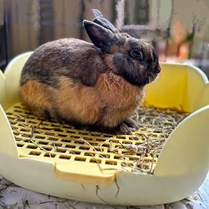 rabbit litter tray