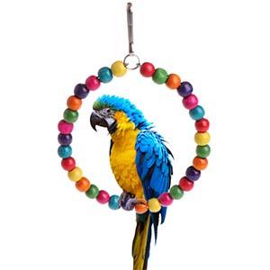 parakeet toys for cage