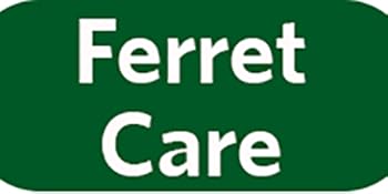 Ferret Care