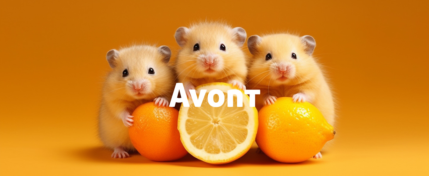 Avont Guinea Pig Bed