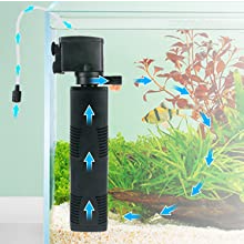 Water Circulation- Filtration System