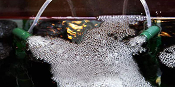 fish tank bubbler and air pump