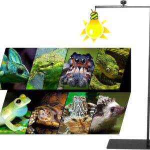 ATB-GIFT Adjustable Reptile Lamp Stand(16 to 37.4 Inch), Landing Lamp Holder Bracket with Base for Reptile Glass Terrarium Heating Light