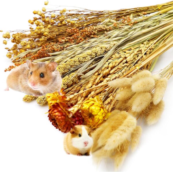 Hamster Herb Bedding Natural Flower Small Pets Grain for Cage Habitat Enclosure Decor Hamster Chews for Dwarf Syrian Gerbils Mice Mouse Rat Forage (Garnish Edible 2)