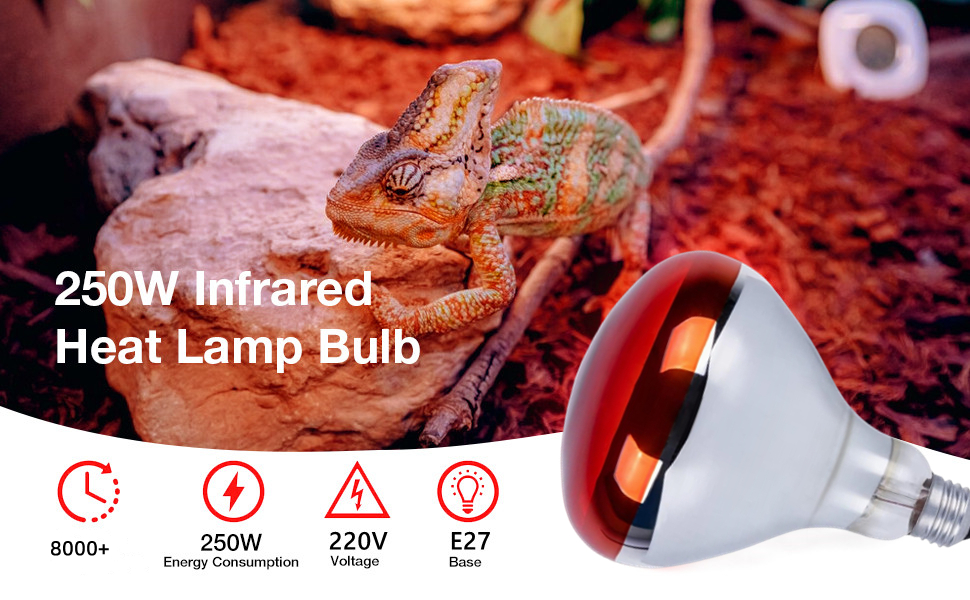 infrared light bulb