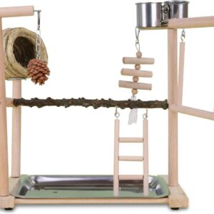 OUBEIDUO Climbing Toy For Birds Pet Climbing Decoration Swing Training Perch Parrots Cage Toy Gym Chew Toy Playstand