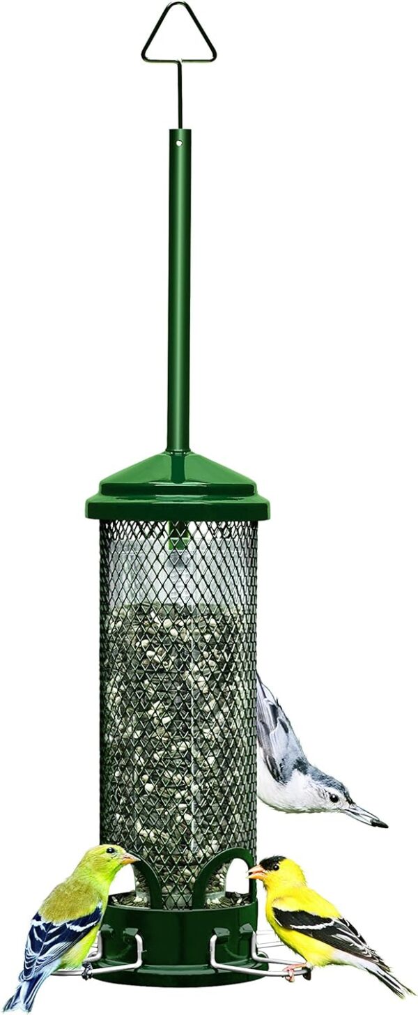 Squirrel Buster Mini Squirrel-proof Bird Feeder w/4 Metal Perches, 0.98-pound Seed Capacity