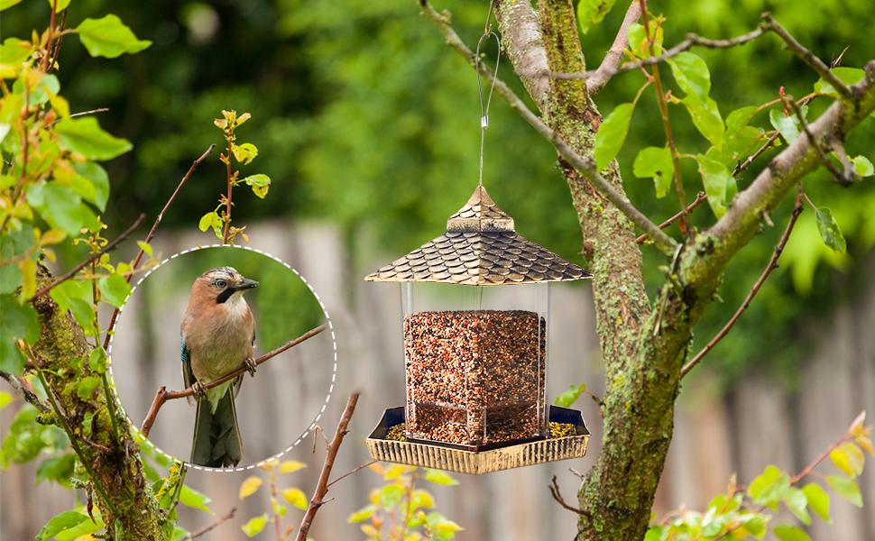 Urban Deco Gazebo Wild Bird Feeder